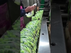 pañales blandos para bebés de uniconcern